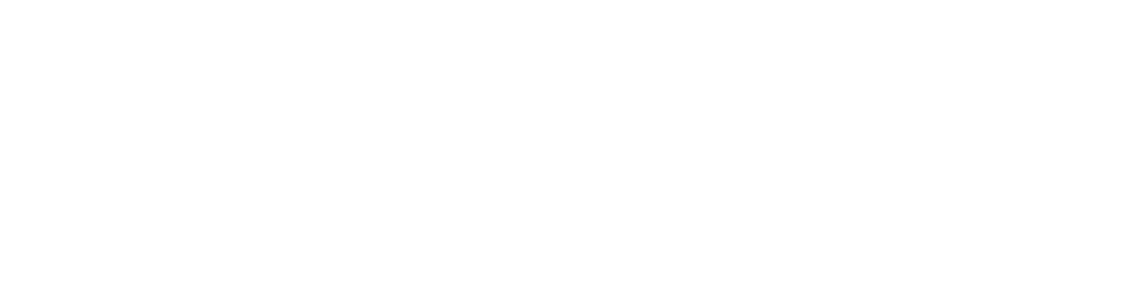 Toronto Seniors Housing Corporation Logo in white.