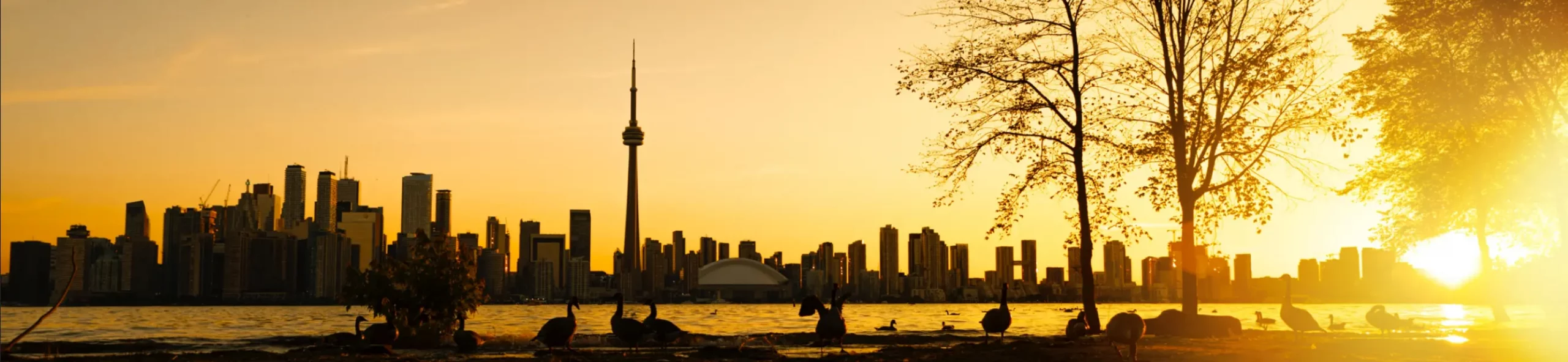 The Toronto skyline as seen from across the water.